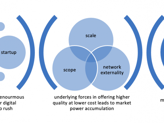 Despite low entry barrier and easy access to global market, digital entrepreneurship success is largely influenced by the capacity of attaining market power from scale, scope and network externality