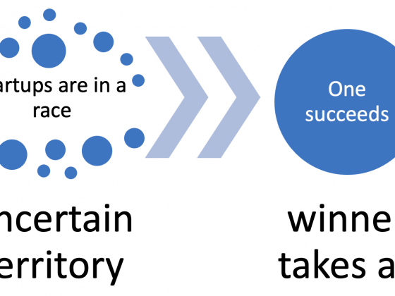 As startups are in a race in offering better substitutions and winner takes all, there is a high level uncertainty in startup success