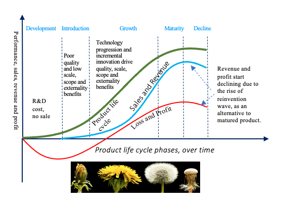 Product life cycle comprising five stages such as development, introduction, growth, maturity and decline must be managed so that evolution leads to profiting from possibilities